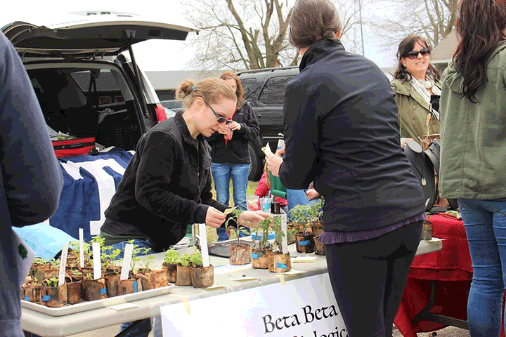 Earthfest, 2018