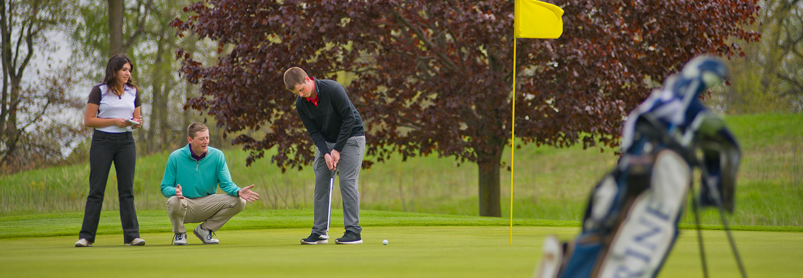 Golfers in a lesson