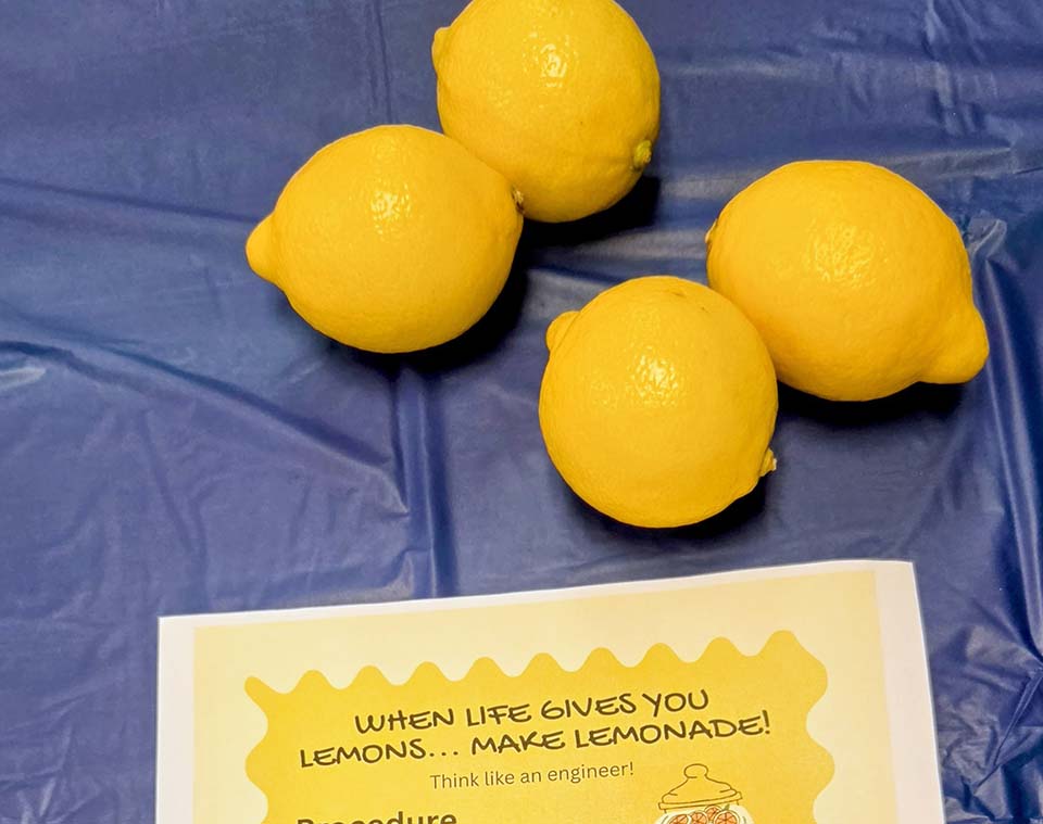 Four lemons and a worksheet